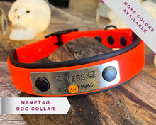 Load image into Gallery viewer, personalized dog collar with name tag
