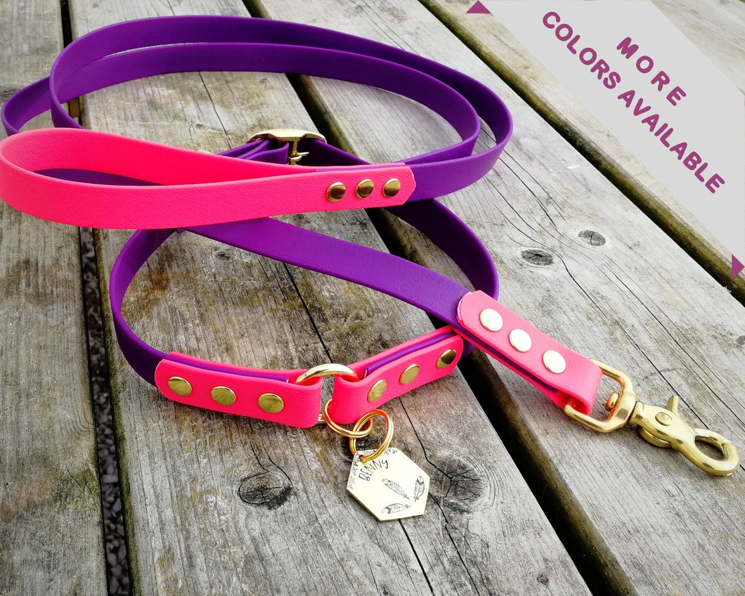 Deluxe 2-color mud-proof dog collar and leash set with brass fittings - choose your size & color