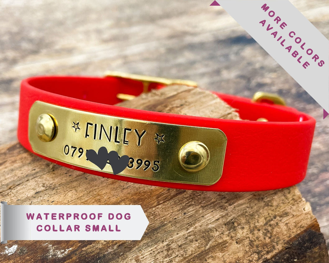 Personalized waterproof dog collar with name plate and brass buckle, 20mm (3/4