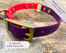 Load image into Gallery viewer, waterproof dog collar with brass buckle
