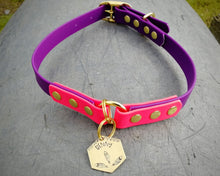 Load image into Gallery viewer, 2-Color deluxe dog collar with brass buckle
