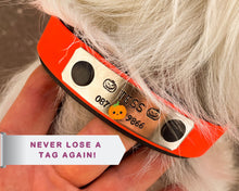 Load image into Gallery viewer, personalized waterproof dog collar with hand-stamped nameplate
