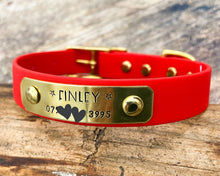 Load image into Gallery viewer, Personalized waterproof dog collar with name plate and brass buckle, 20mm (3/4&quot;)
