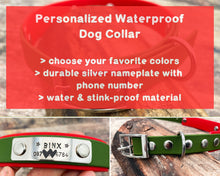 Load image into Gallery viewer, Personalized waterproof dog collar with name tag and phone number, silver buckle, 2-colored
