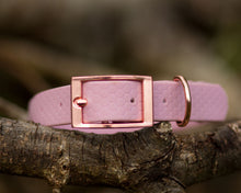 Load image into Gallery viewer, Deluxe mud-proof dog collar and matching bracelet with rose gold fittings - choose your size
