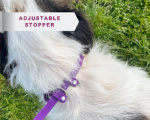 Load image into Gallery viewer, convertable slip dog leash
