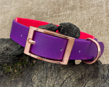 Load image into Gallery viewer, Mud-proof dog collar with name plate and rose gold buckle, 2-colored
