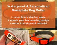 Load image into Gallery viewer, personalized heavy duty dog collar with name and phone number
