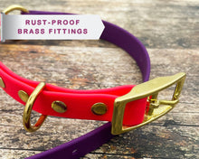 Load image into Gallery viewer, rust-free dog collar with brass buckle and rivets
