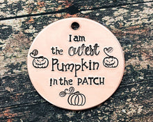 Load image into Gallery viewer, Pumpkin dog id tag, cute Halloween pet id tag, double-sided pet tag with up to 2 phone numbers
