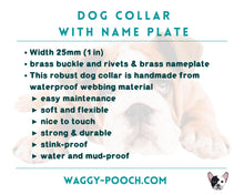 Load image into Gallery viewer, Personalized waterproof dog collar with name plate and brass buckle, 2-colored
