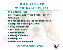 Load image into Gallery viewer, Personalized waterproof dog collar with name tag and phone number, silver buckle, 2-colored
