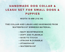 Load image into Gallery viewer, Mud-Proof Dog Collar And Leash Set For Small Dogs And Puppies - Choose your color and length
