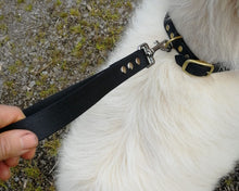 Load image into Gallery viewer, Dog traffic leash, mud-proof leash handle 25mm / 1in
