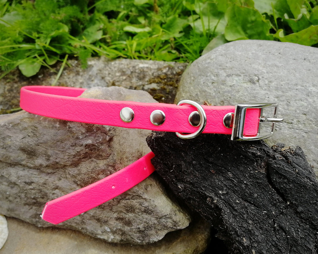 Mud-proof puppy dog collar, choose your color