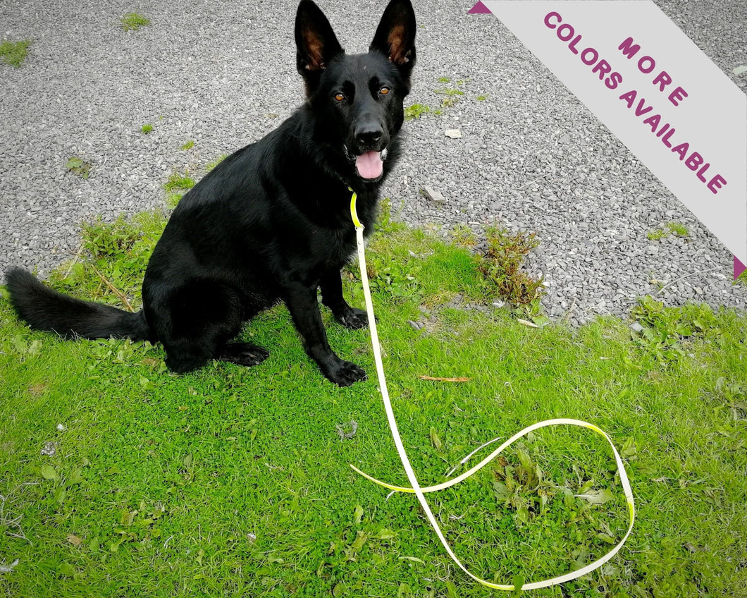 Mud-proof training dog leash, dog-friendly slip leash