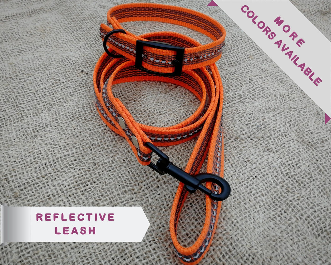 Reflective Dog Collar And Leash Set - choose your color & length