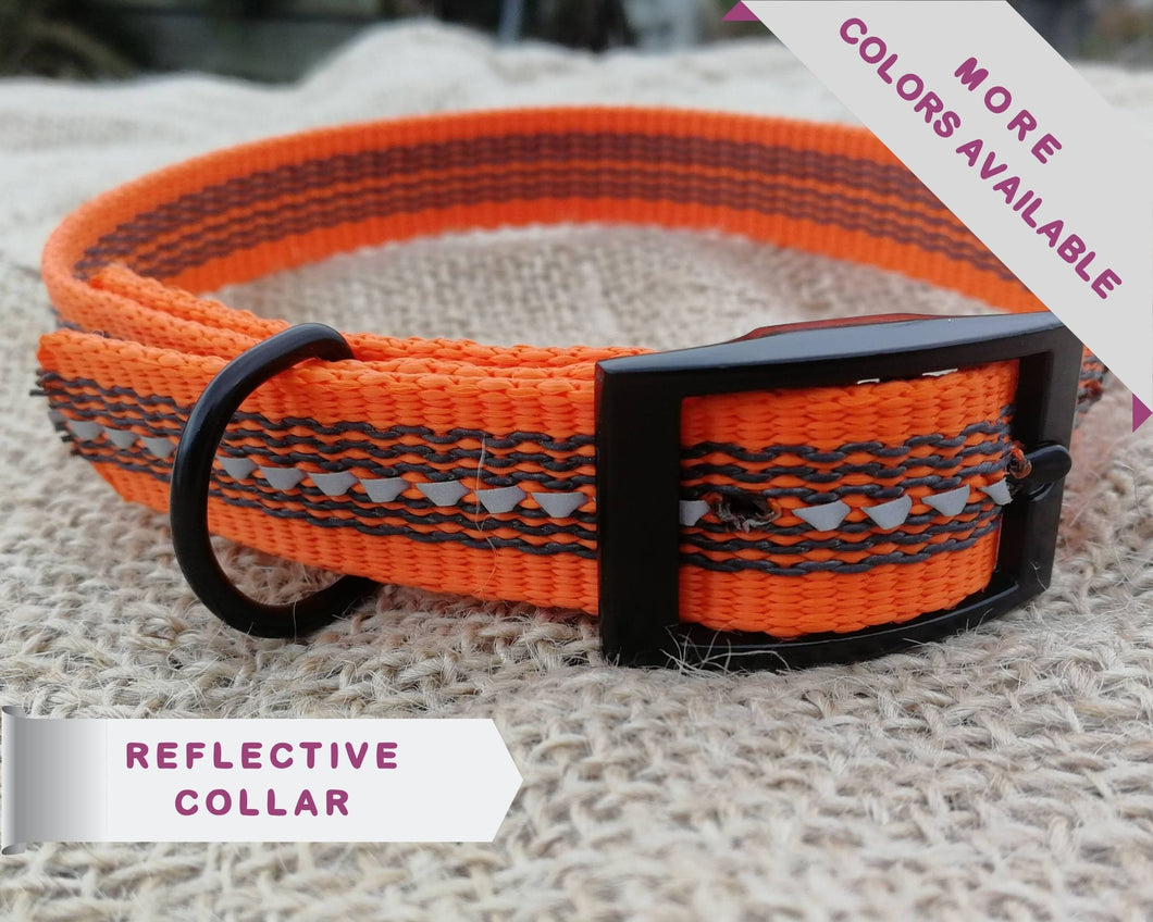 Reflective Adjustable Dog Collar With Black Buckle