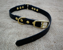 Load image into Gallery viewer, Deluxe mud-proof dog collar and leash set with brass fittings - choose your size &amp; color
